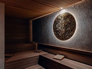 BioSauna-02