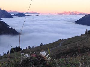 Nebelmeer