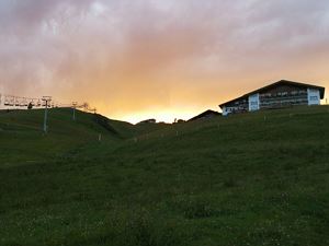 IMG_5377